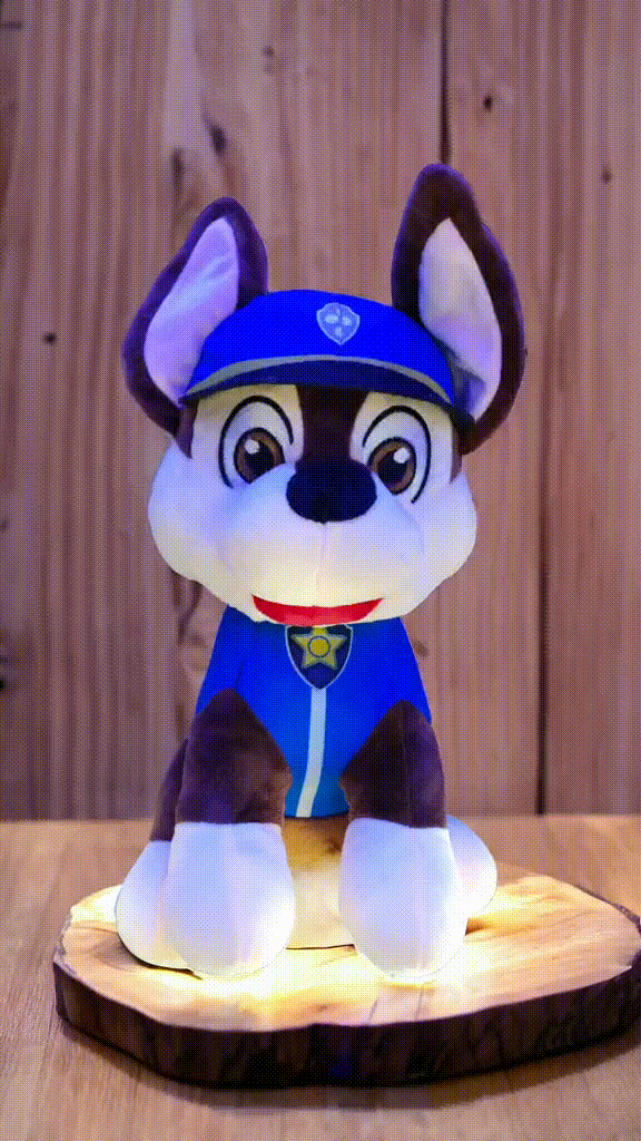 Vista 12 de Peluches Paw patrol